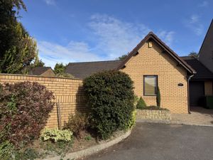 Front- click for photo gallery